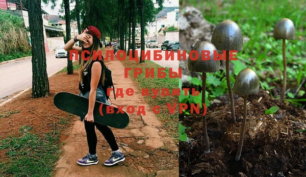 2c-b Бородино