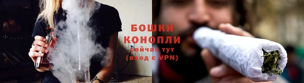 бутират Богданович
