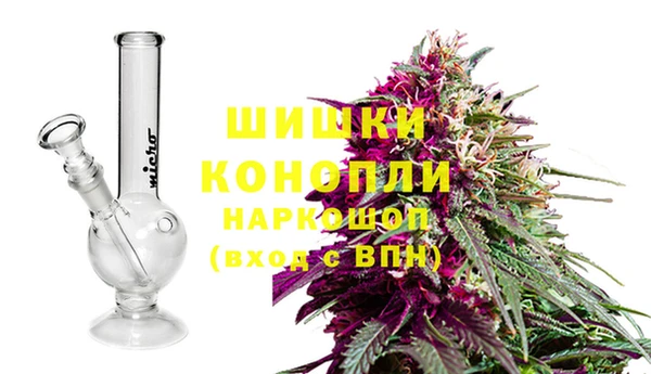 прущие грибы Богородск